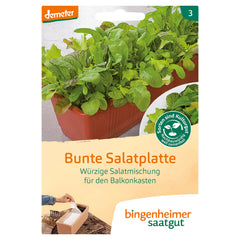 Bunte Salatplatte Bio-Gemüse-Samen