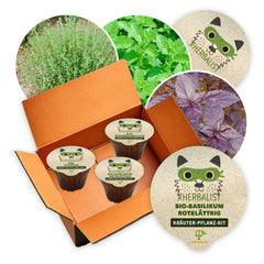 Herbalist - 3 x Kräuter-Pflanz-Kits