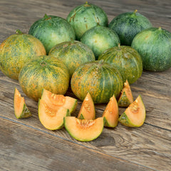 Melone Petit Gris de Rennes Bio-Gemüse-Samen