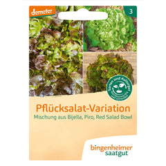 Pflücksalat Mischung Bio-Gemüse-Samen